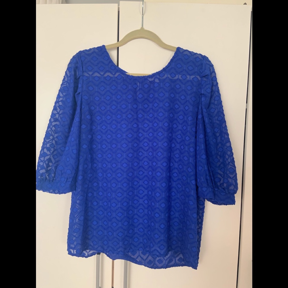 Blue blouse
